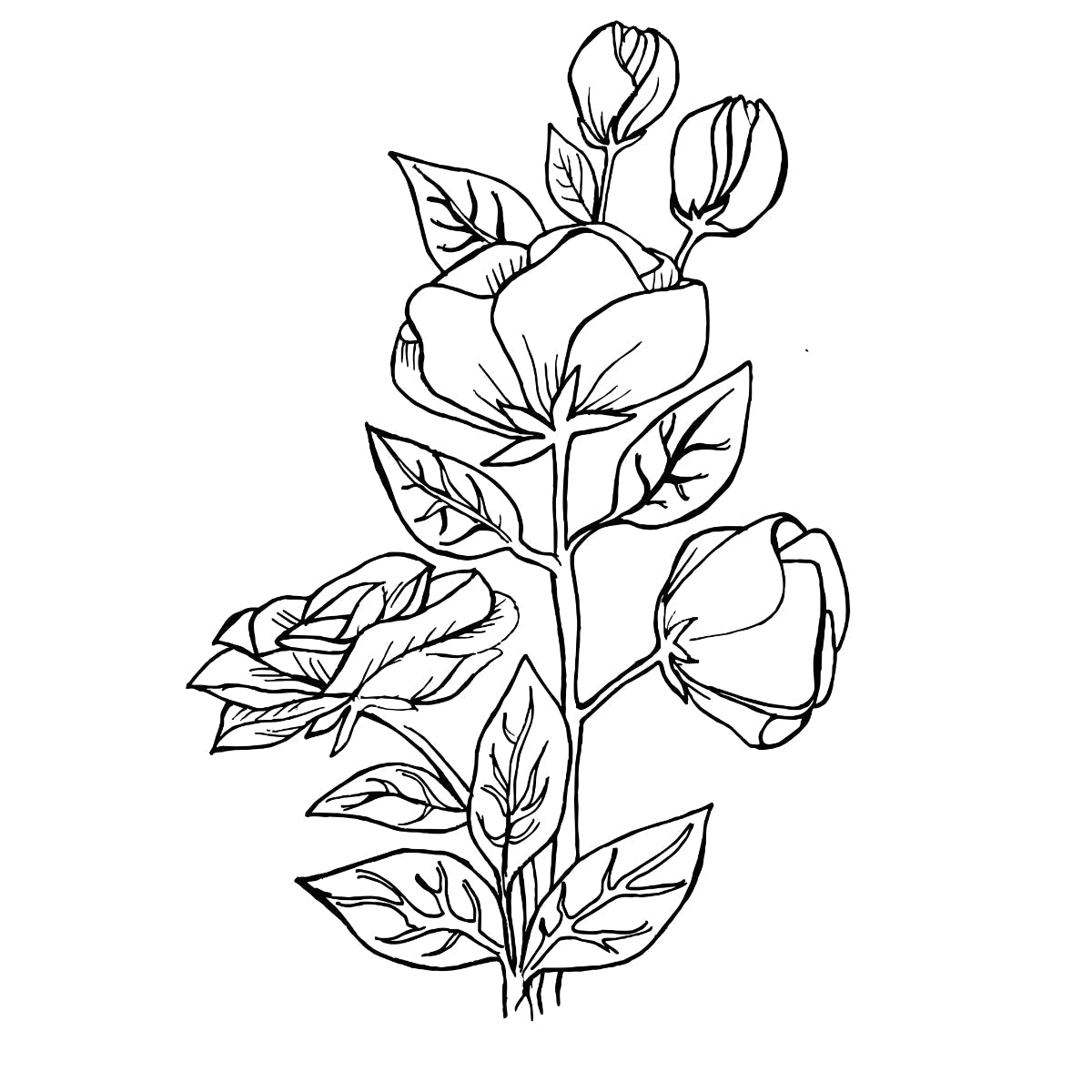 Valge UNISEX T-särk Roosioks